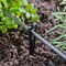 Raindrip Raindrip For 1/4 in. Tubing Drip Irrigation Tubing Stake 6 in. H 10 pk R381CT - alternate 3
